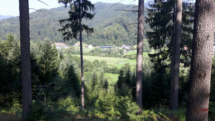 20160827_101901_resized