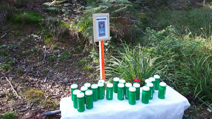 20160827_101916_resized